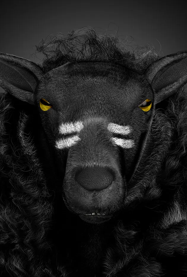 Black Sheep - MaxTelecom